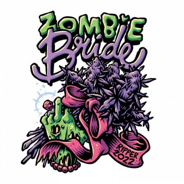 Zombie Bride Feminised Cannabis Seeds by Ripper Seeds
