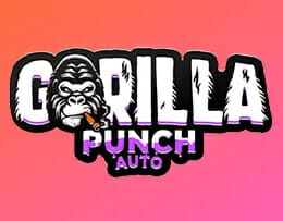 Gorilla Punch Auto Feminised seeds logo
