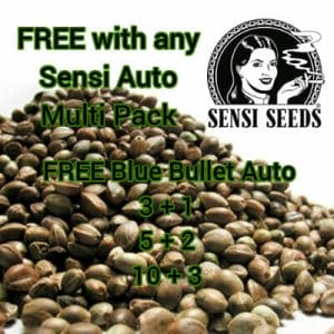 Sensi Seeds - FREE Auto Blue Bullet