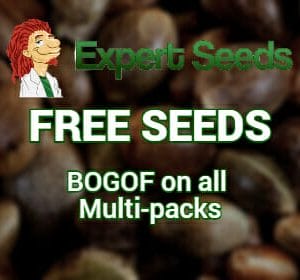 Expert Seeds - BOGOF