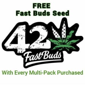 FastBuds - FREE Seed