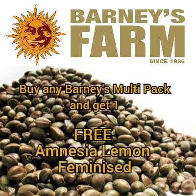 Barney's Farm free seed promotion