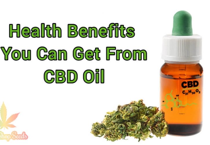 What Are The Health Benefits You Can Get From CBD Oil