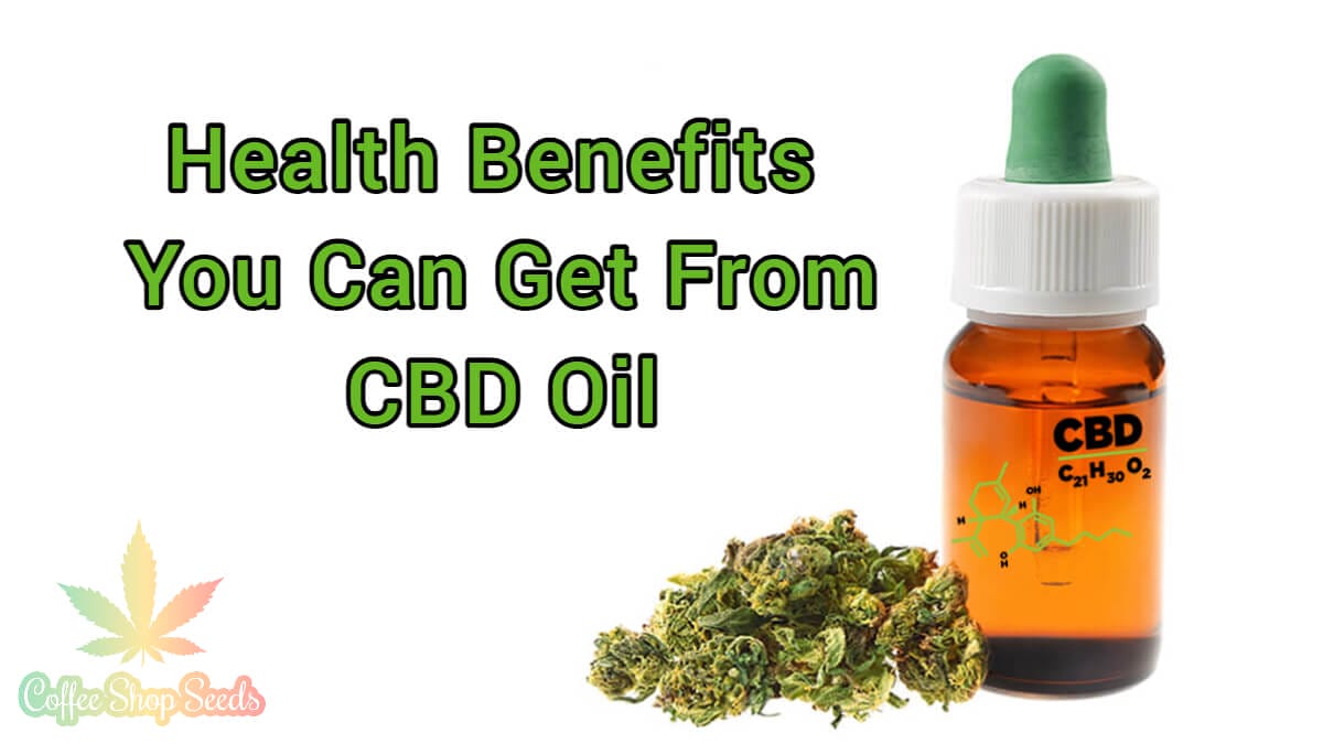 Health Benefits You Can Get From CBD Oil