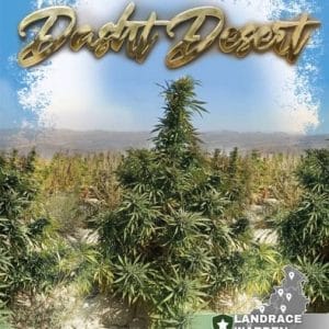 Dasht Desert Regular Cannabis Seeds by Landrace Warden